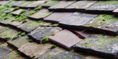 Brighton roof repair costs